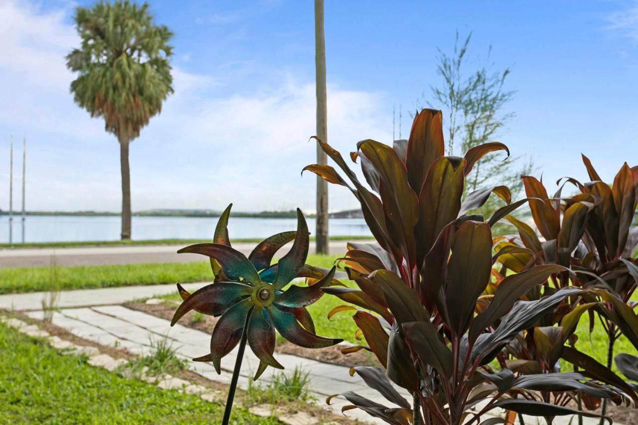 Bayside Safari 1Bed 1 Bath Apartment Tampa Luaran gambar